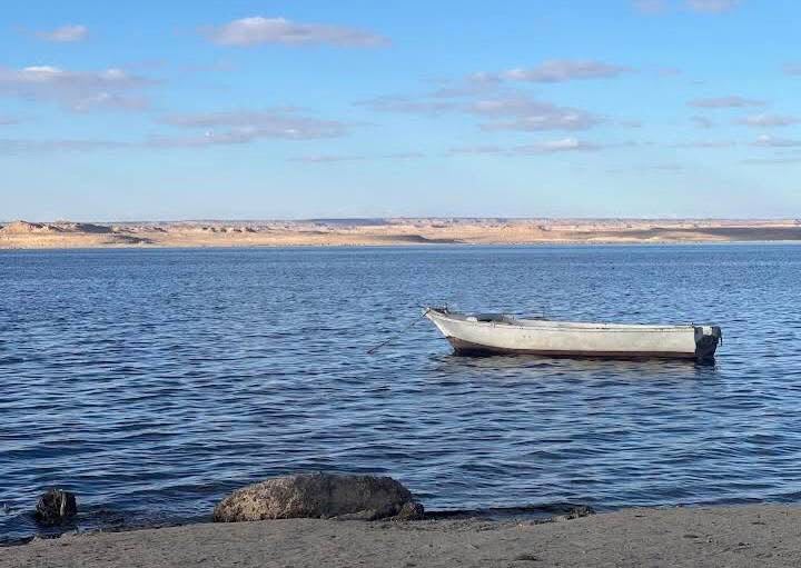 Water and palm trees in Fayoum